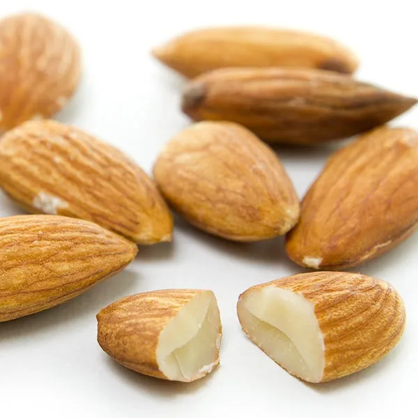 Wholesale Almond Nuts Dried Almonds Mamra Almonds Nuts for Sale at Wholesale Price