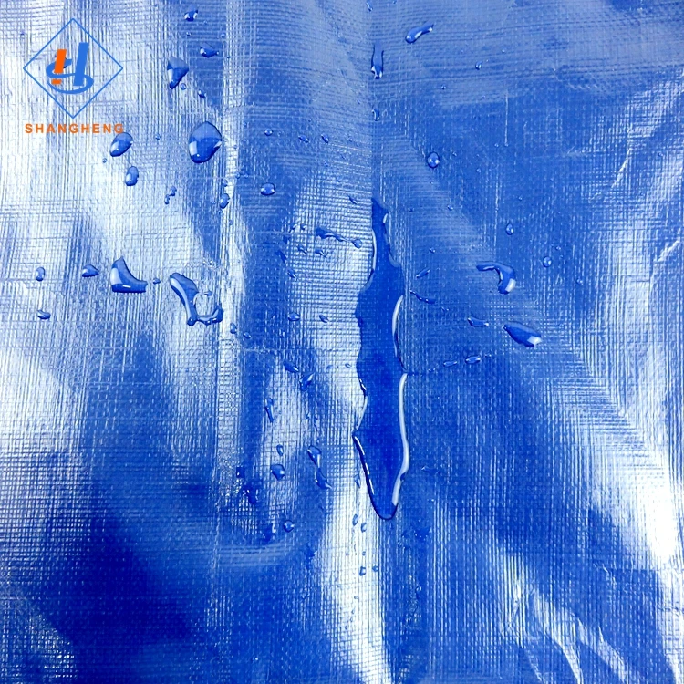 Korea Pe Tarpaulin Manufacturing Fish Pond Tarpaulin