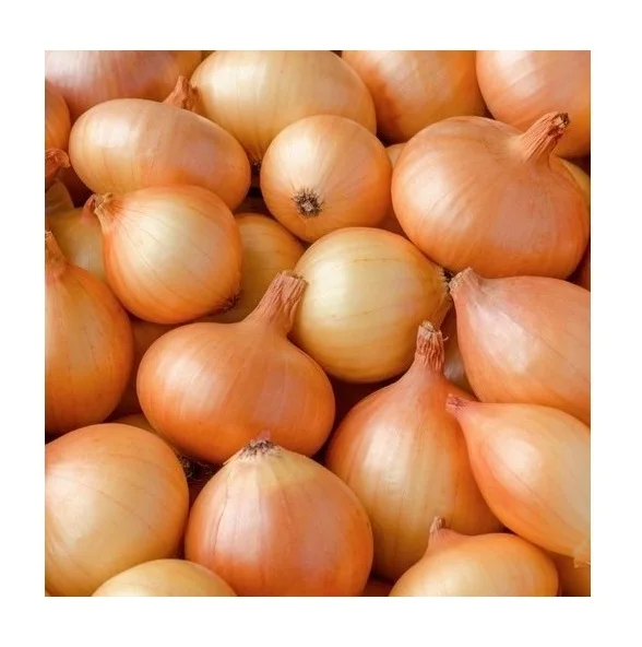 Оптовый Поставщик органического красного лука/свежего желтого лука, большой объем, готов для экспорта
