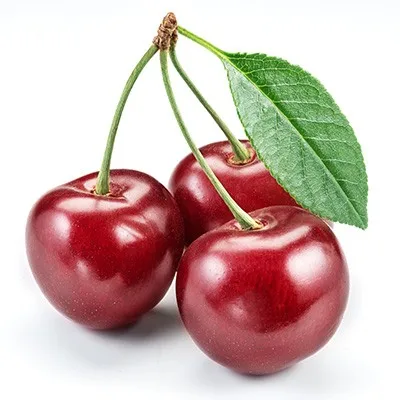 Quality Natural Taste Red Farm Fresh Cherries for sale available all over