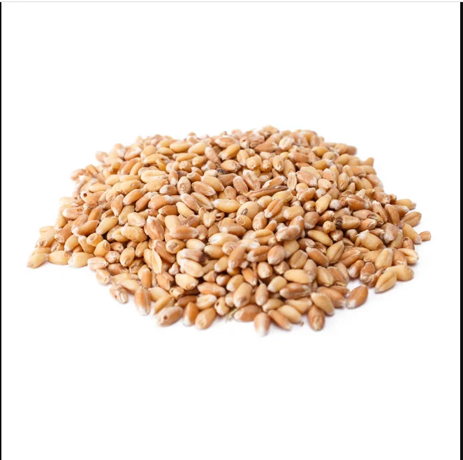 wheat 0978.PNG