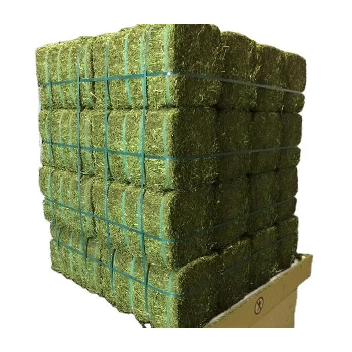 High Quality Alfalfa Hay for Sale for Animals Cattle Sheep and Horses Comes in Bales or Bags Variety in Palm