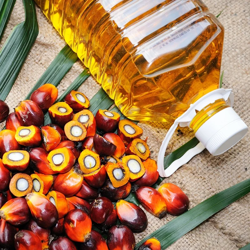 Оптовый Производитель рафинированное пальмовое масло/рафинированное кулинарное масло