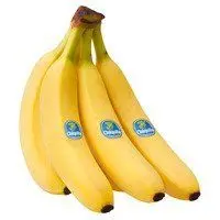 Fresh Cavendish Banana Ready to Export 2024