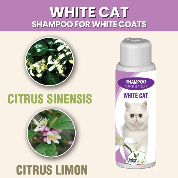Top quality made in Italy plant based WHITE CAT SHAMPOO for cats with white coat delicate shampoo