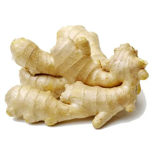 fresh ginger and air dry ginger with cardboard box and plastic carton