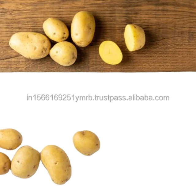 We have Large Quantity of Fresh Potatoes Available For Sale