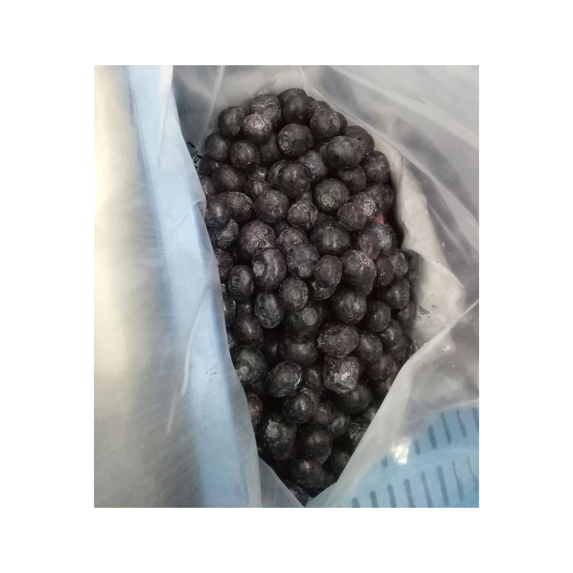 Natural Organic Best Price For Frozen IQF Blueberry Blueberries frozen preserve the taste and structure of tender and fragile
