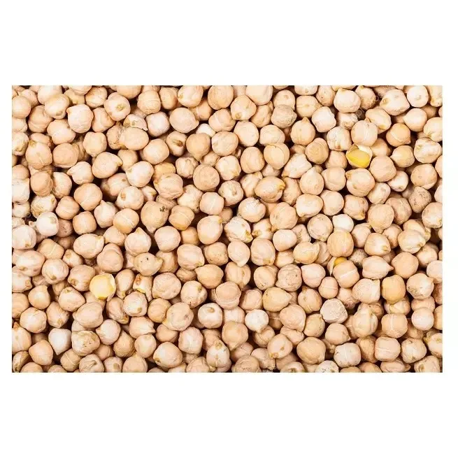 Organic Chickpeas For Sale 2023 (7mm 8mm 9mm 12mm)