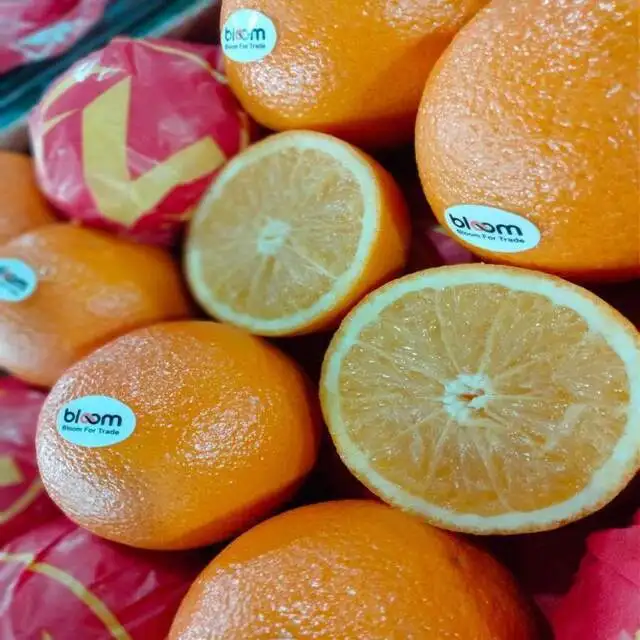 Fresh natural orange Manufacturer