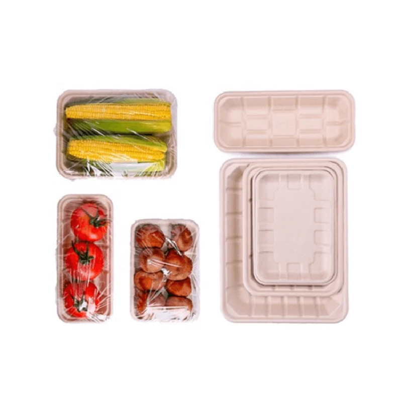 Customized Food Trays Biodegradable Disposable Waterproof and Oil-proof Sugarcane Bagasse Tray for Party