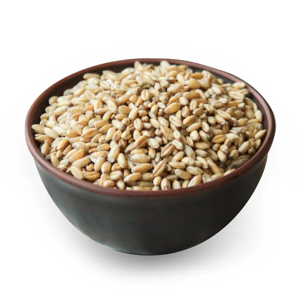 Natural Pure Wheat Dried Grade Grain High Quality Wheat