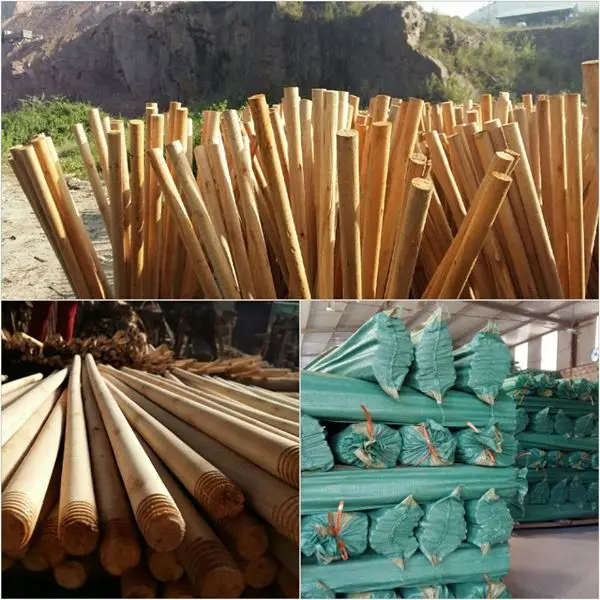 Raw Eucalyptus Square And Round Logs Exporting From Viet Nam
