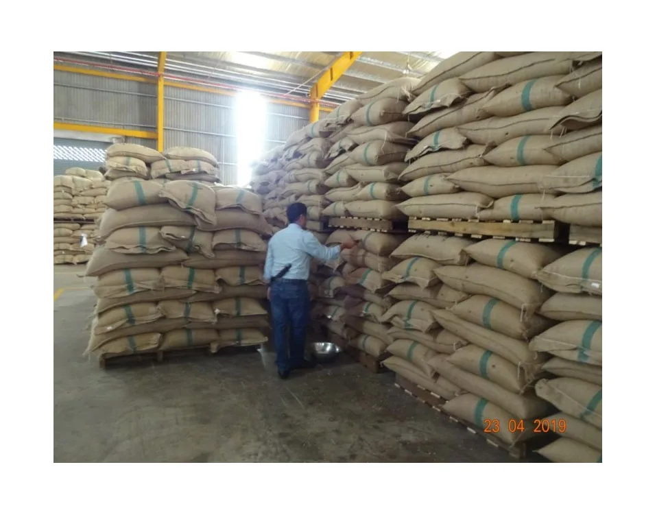 Arabica Roasted Coffee Beans Wholesale Coffee Beans From Brazil