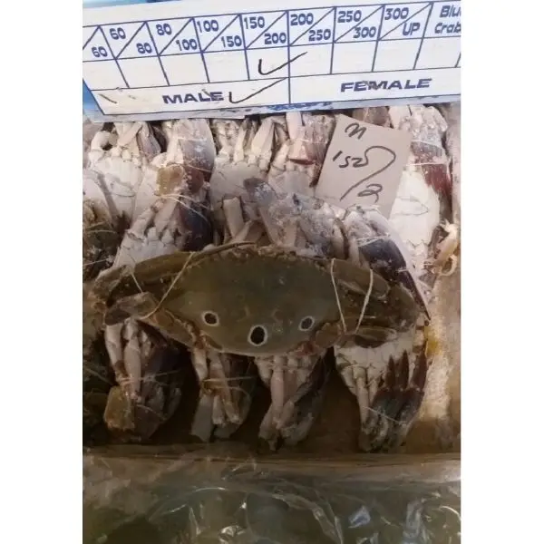 Frozen Whole Blue Swimming Crab Bulk Quantity New Stock For Export