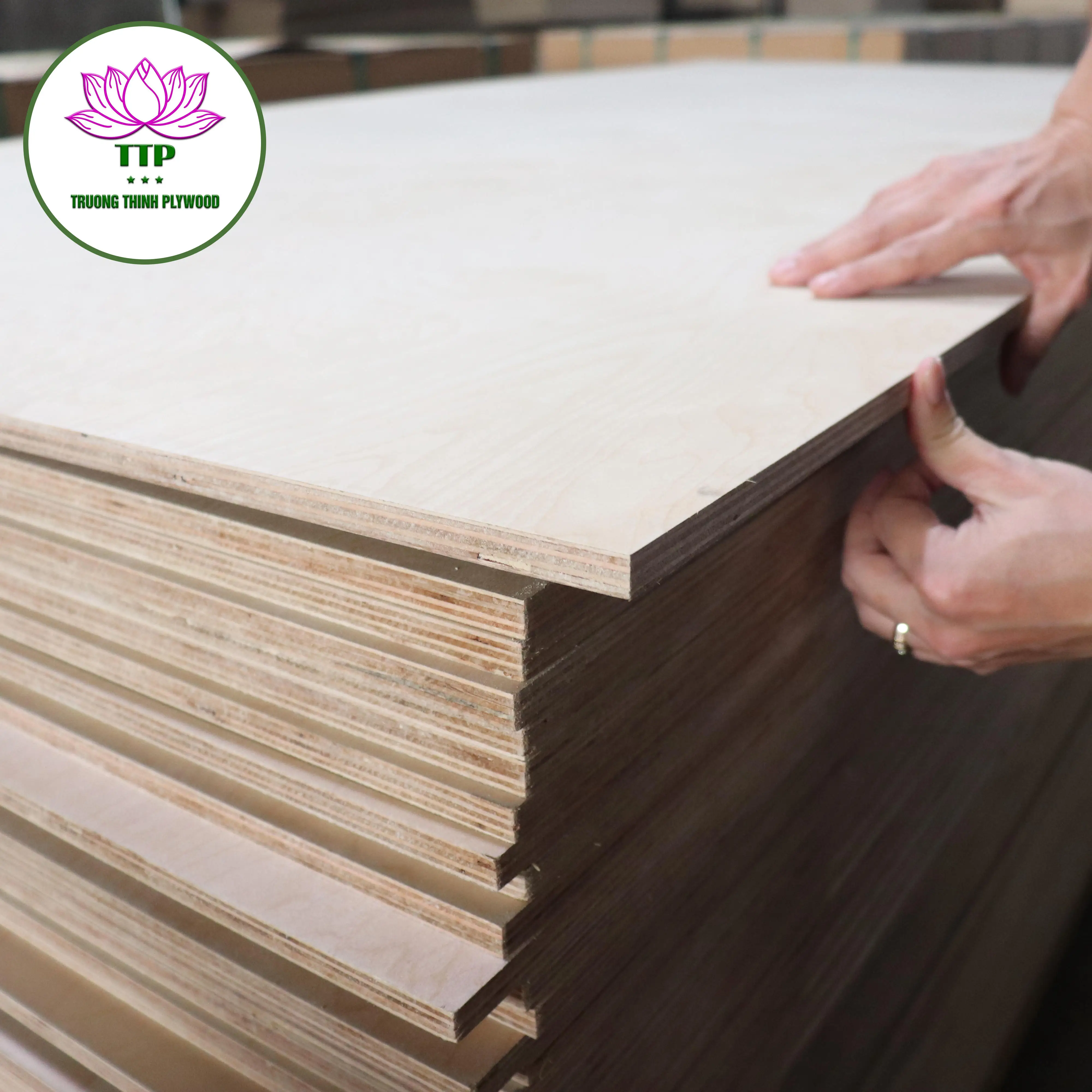 Latest Update Price D Acacia Eucalytups Industrial Double-Sided Decoration Birch Plywood E0 Glue For USA Market from Vietnam fo