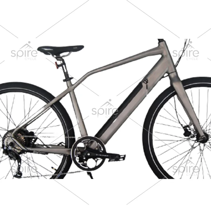 21 speeds  aluminum frame mountain ebike electric bike