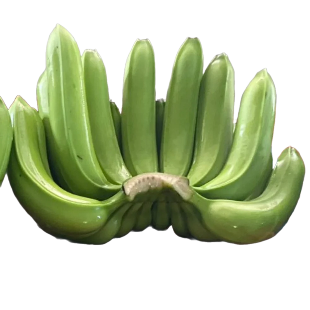 CAVENDISH Banana Green Tropical Fruit Ready To Export 100% Natural Organic Food Wholesale From Vietnam Manufacturer