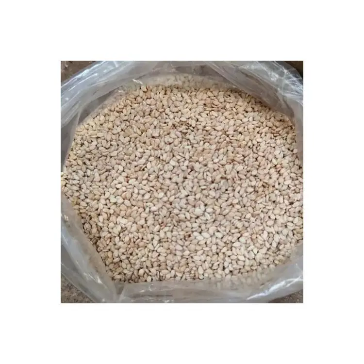 Hot Selling Cheap Price Natural Raw Sesame Seeds 100% Pure White Roasted Sesame Seed