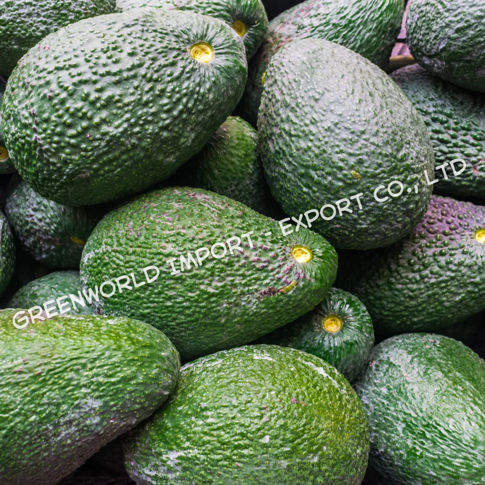 Лучшая цена на этот месяц-Замороженный авокадо высокого качества по лучшей цене из зеленого мира-лучший вариант для вас