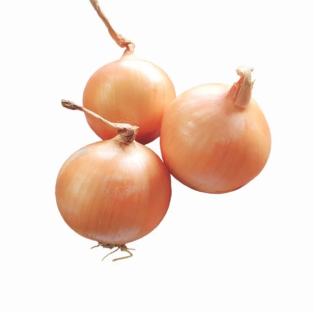 Hot sale fresh Thailand small size yellow red onion