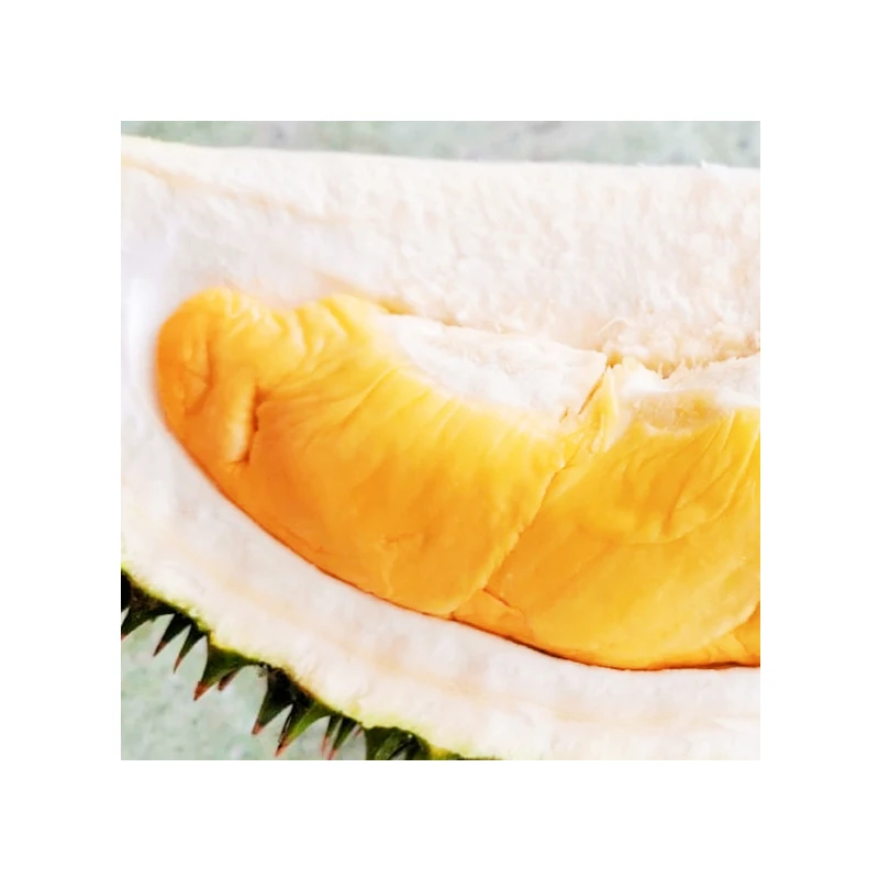 Hottest Selling Premium Fresh D101 Durian (Frozen Pulp) with Bitterer and Less Sweet Than Other Varieties