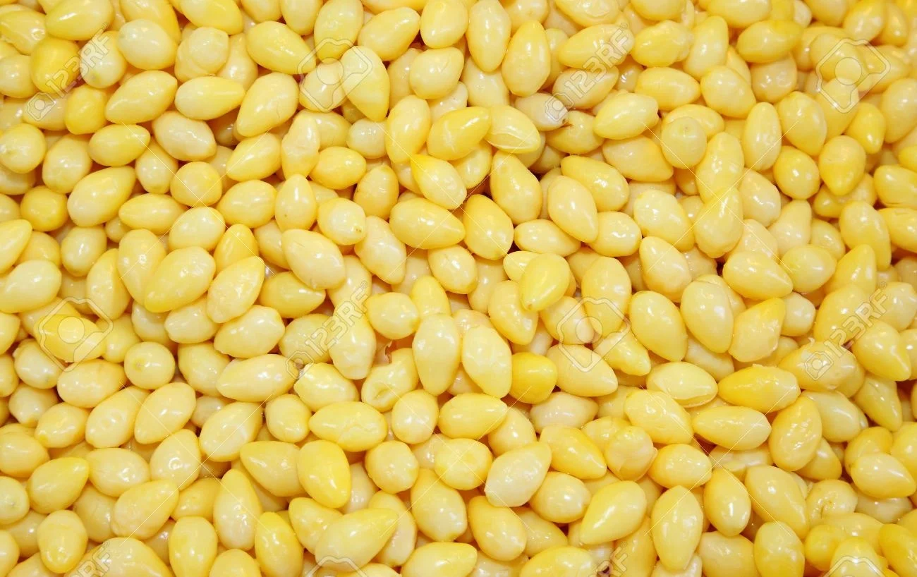 Best Price dried Quality Ginkgo Nuts For Sale wholesale