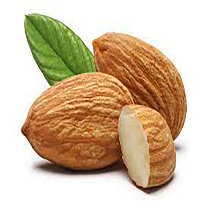Factory price Almond Nuts / Sweet Almond Nuts