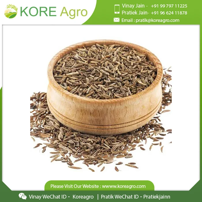 New Season Dried Cumin Seeds Jeera Natural Cumin Single Spices & Herbs from Indian Manufacturer