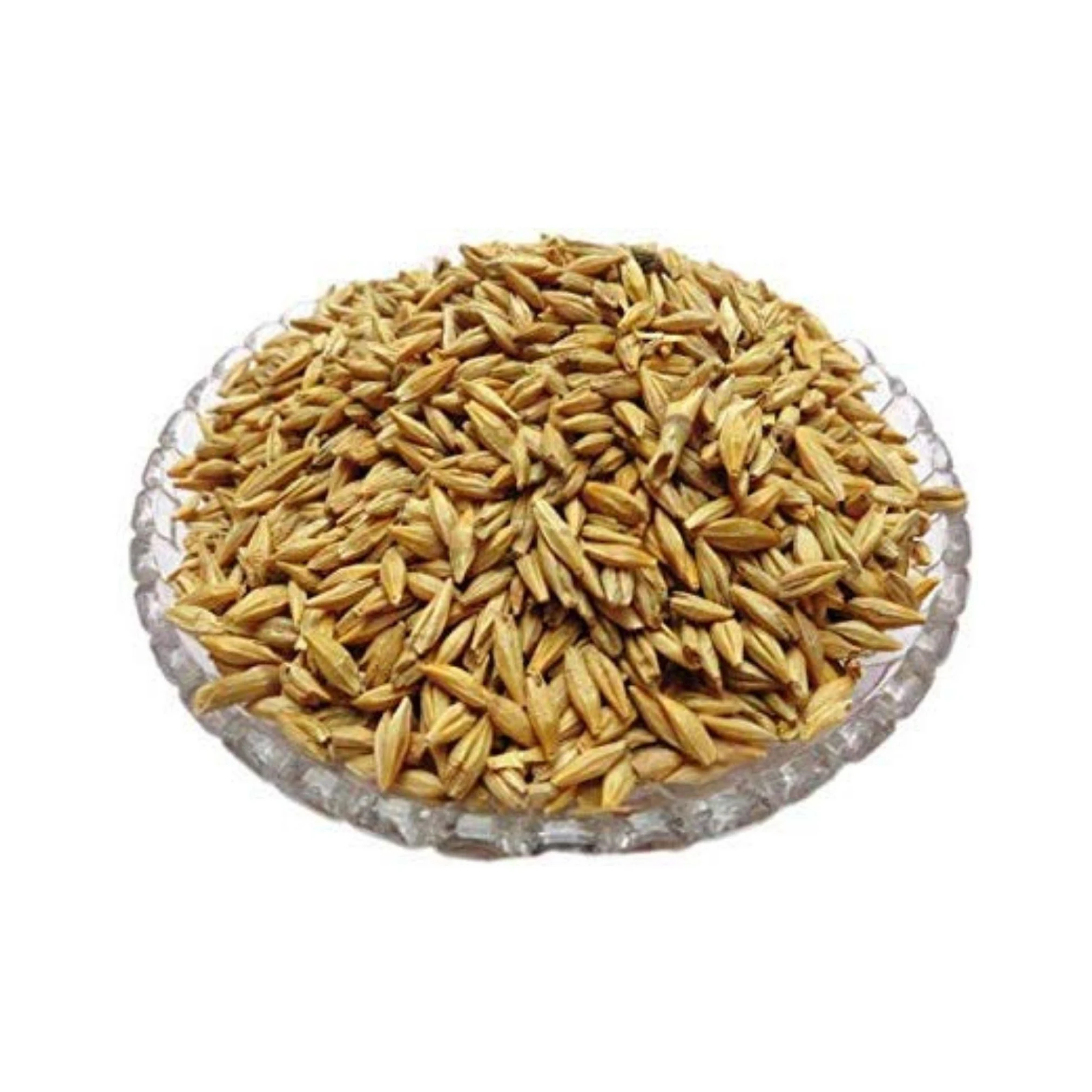 Farming Bulk Malted Barley, Barley Grain Ready For Export For Sale