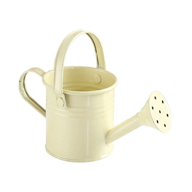 Decorative Watering Bucket Metal Kids Can Small Garden Water for Home