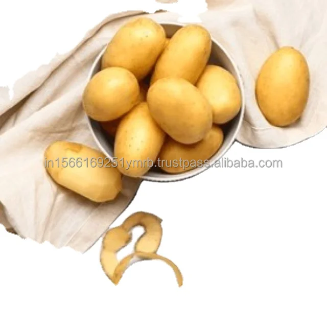 New Crop Fresh Potatoes Fresh Potatoes Top Grade High Nutrition  White Potatoes Wholesaler