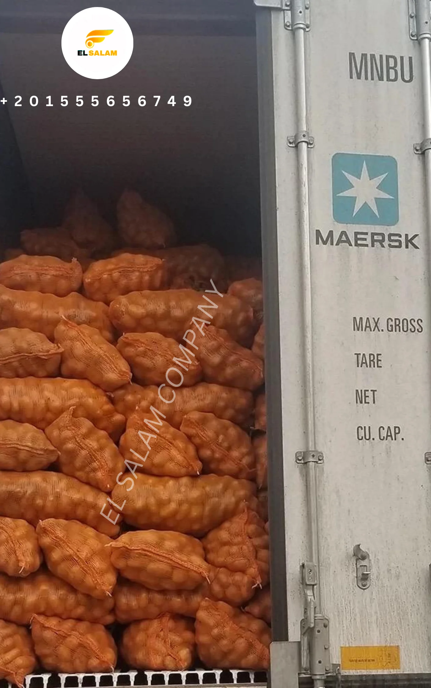 Новый свежий картофель высокого качества из Египта по низкой цене для оптовой продажи