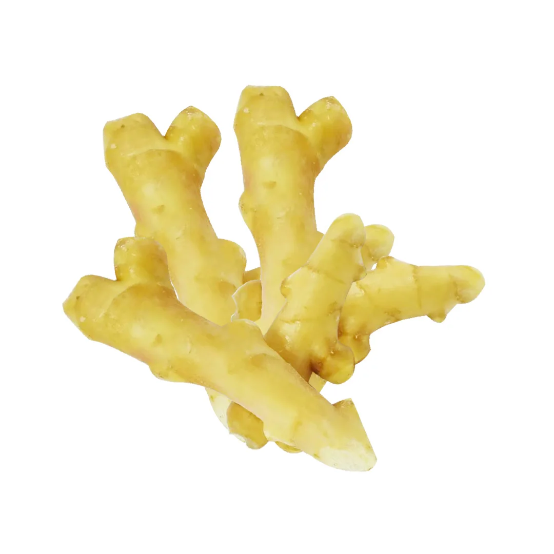 High quality of new crop Chinese fresh ginger air dry or dried ginger root market price from organic ginger fresh supplier
