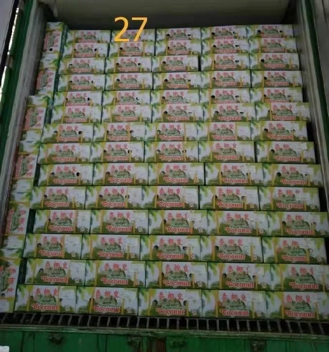 Свежий кокос премиум-класса из Таиланда, 100% натуральный свежий кокос премиум-класса, лучший продавец