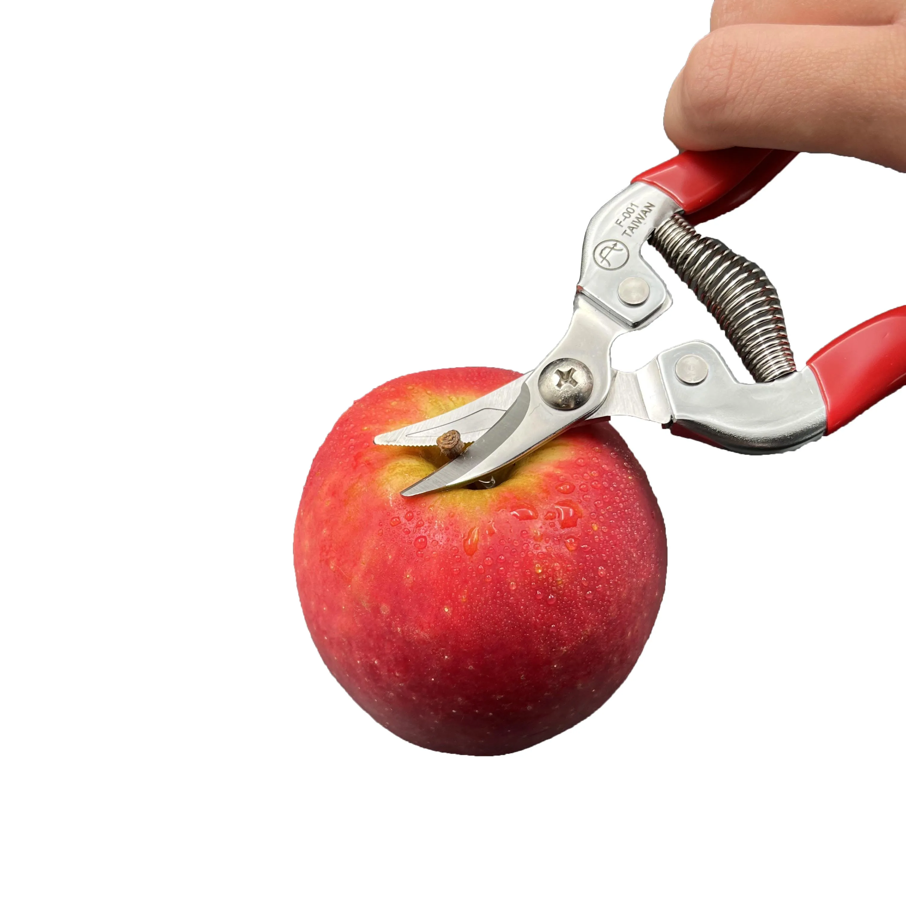 multifunctional stainless steel Fruit Picking Scissors
