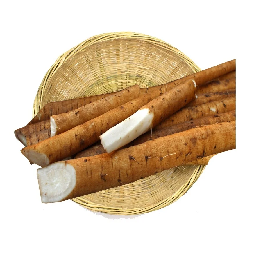 Top Quality Fresh Vegetables Burdock Root For Sale At Best Price