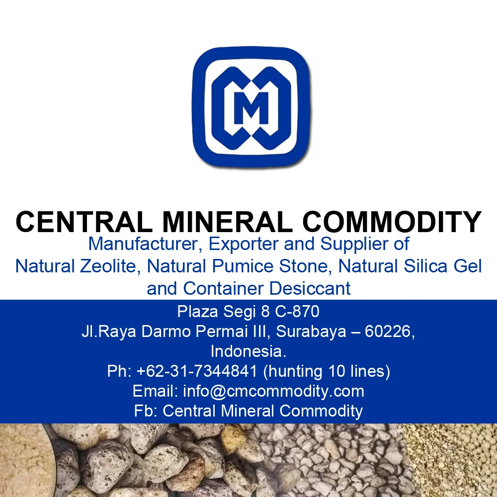 NATURAL ZEOLITE POWDER 200 MESH GREAT FOR AGRICULTURE USE -INDONESIAN BEIGE COLOR CLINOPTILOLITE HIGH CEC MINERAL VOLCANIC ROCK-