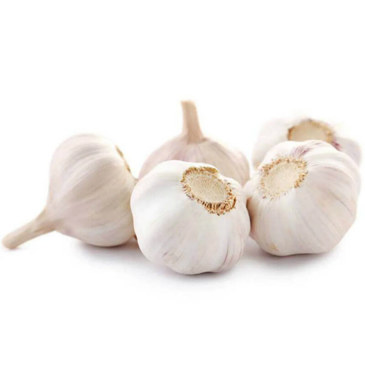 Fresh Garlic White Garlic Normal White Garlic for sale.