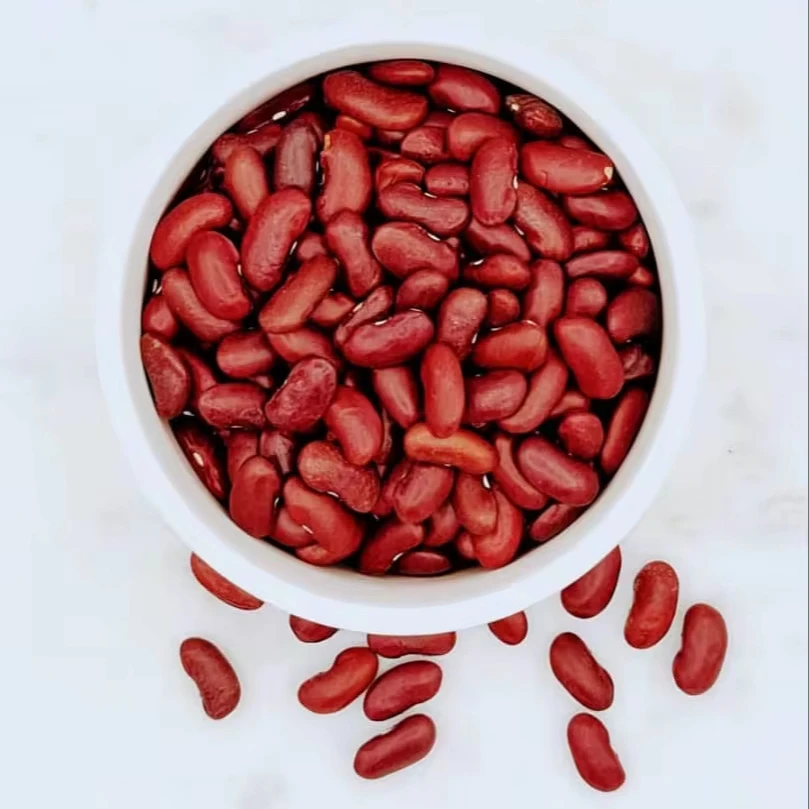 Wholesale Hot Selling Natural White Beans White Sugar Bean New Crop Organic White Kidney Beans Export