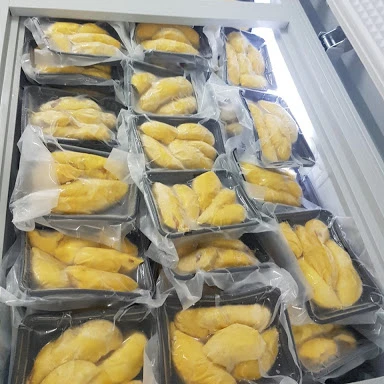 Frozen Durian Fruits - Viet Nam Organic Durian from Non-GMO farmers WhatsApp +84988667319