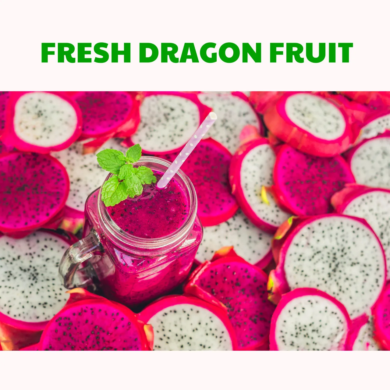Fresh and clean Vietnamese Dragon Fruit The Perfect Choice Bringing Natural Flavor to You and buyer