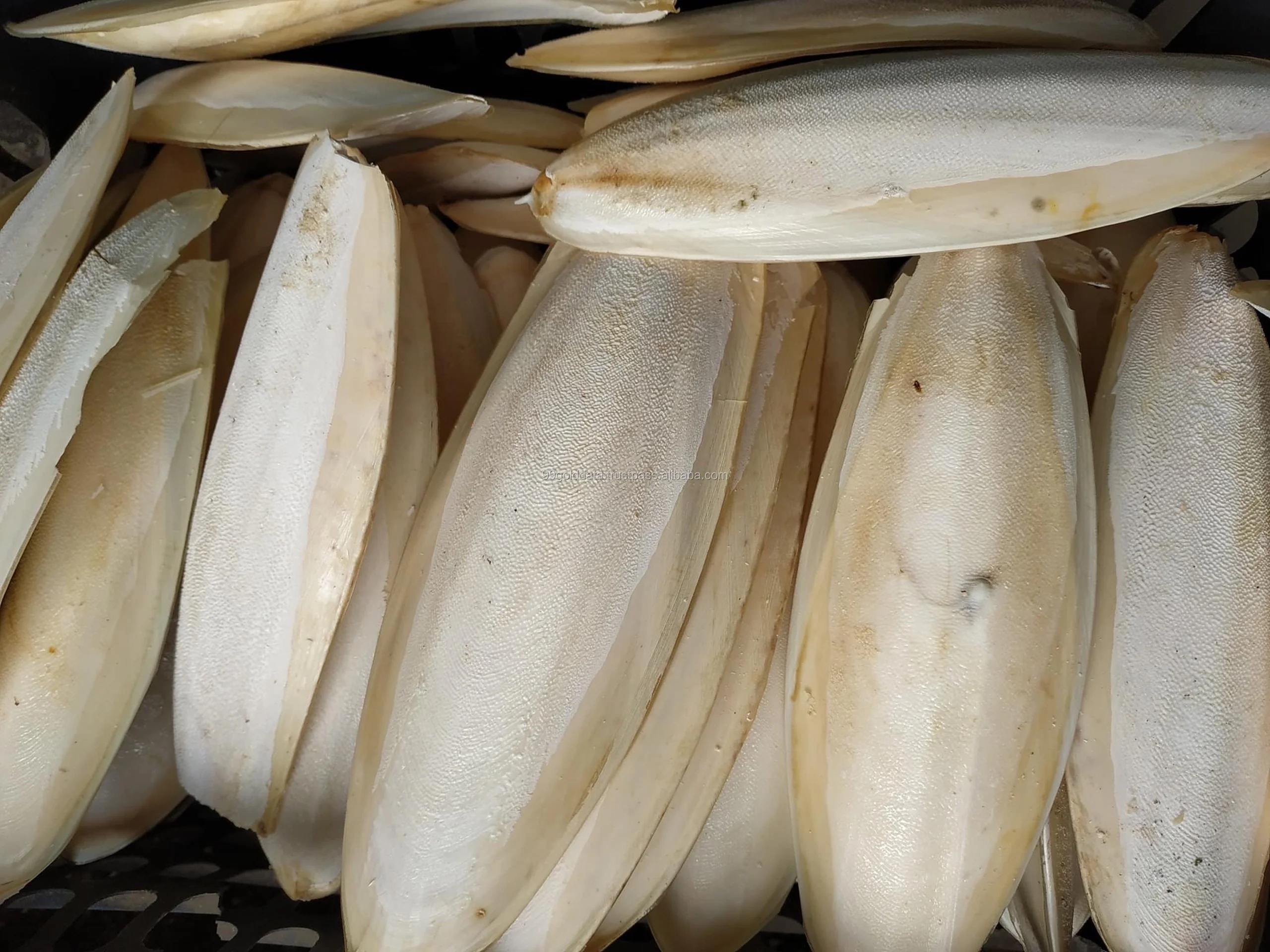 VIETDELTA Organic Whole Cuttlefish Bones High Quality Dried and Frozen with Vitamins Best Price from Vietnam