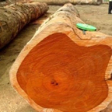 Дешевые деревянные бревна, сосновые деревянные бревна и деревянные бревна для продажи