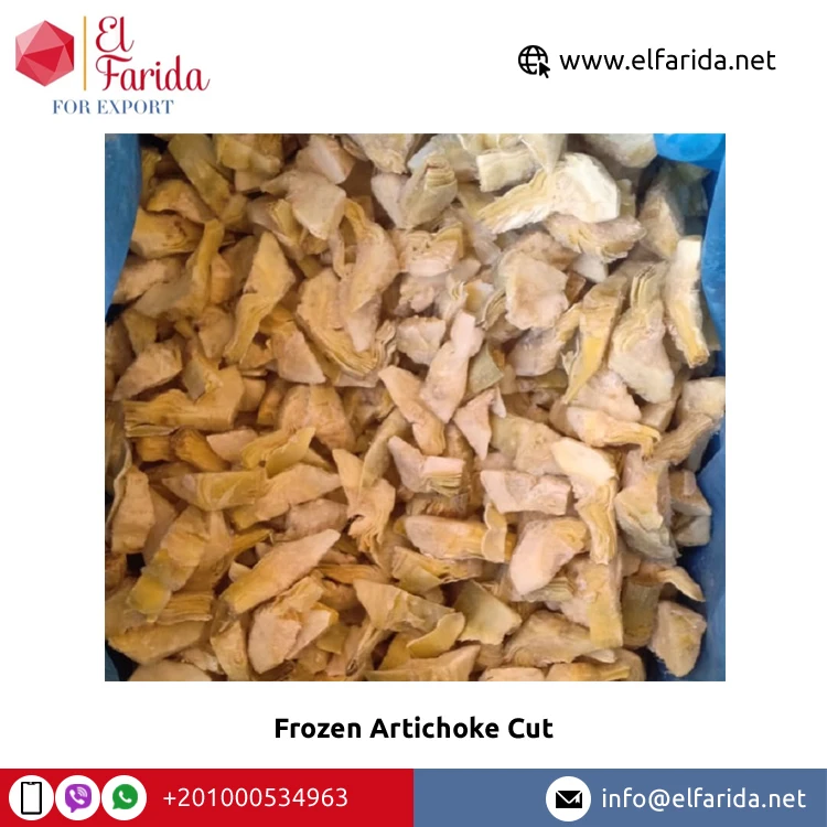 Top Selling Premium Grade Frozen Vegetables Artichoke Cut at Reasonable Market Price from Egypt Origin Exporter