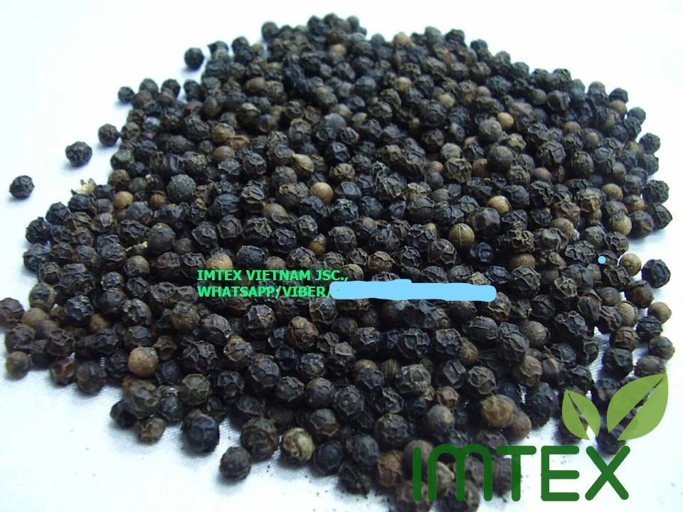 Hot Black Pepper 500 G/L For Exporting High Quality Good Rates For All Country In The World