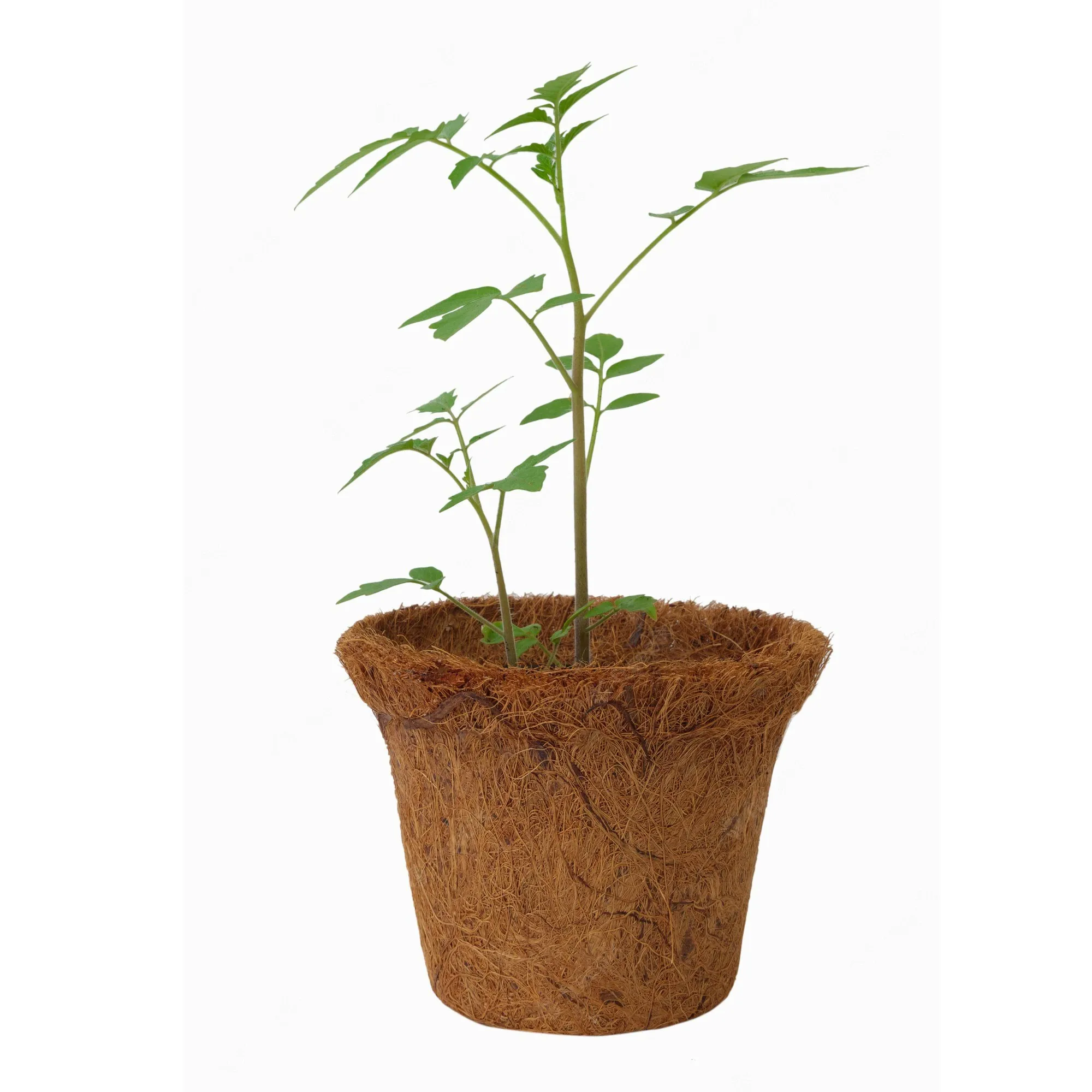 Bio coco coir pots for hydroponics farm house greenhouses garden natural coconut husk fiber pots