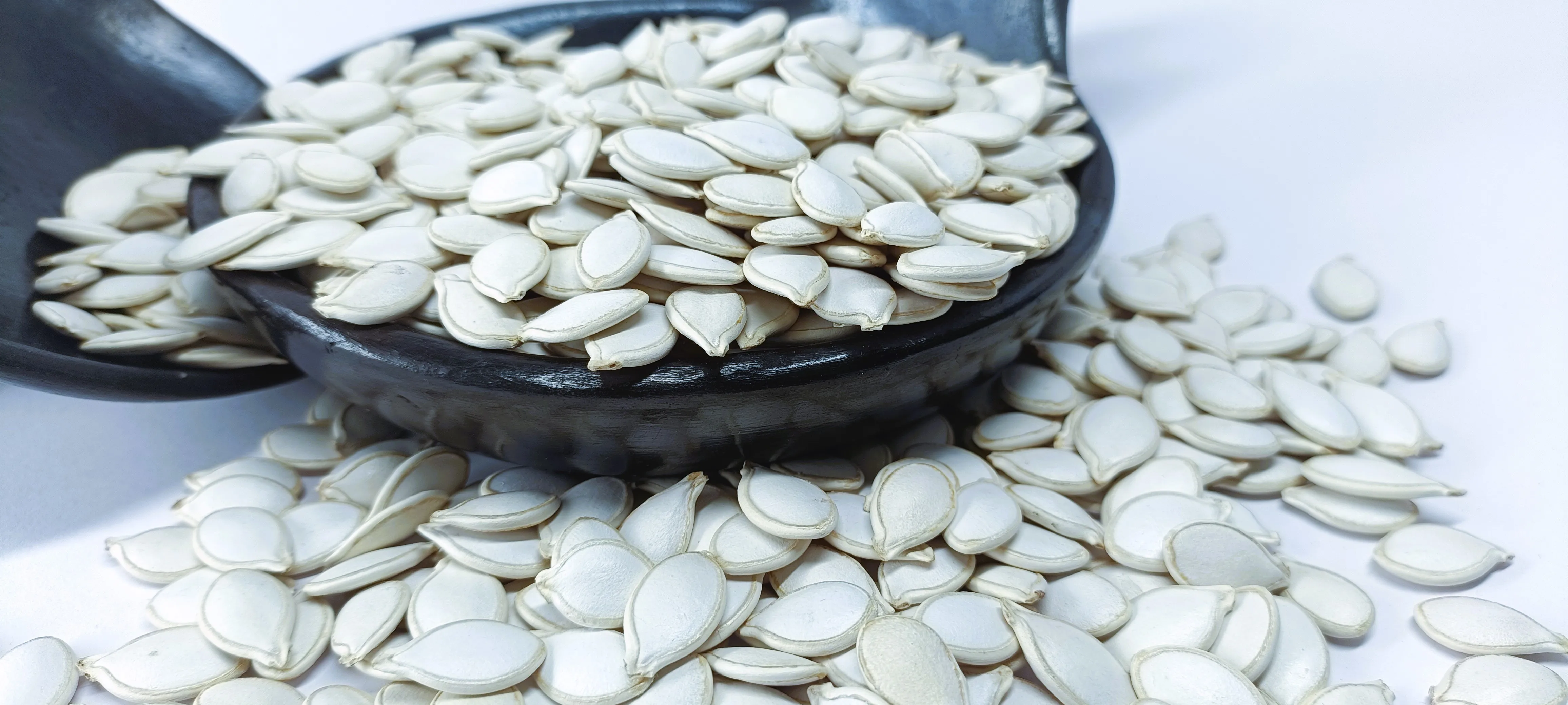 Bulk Quantity Available Premium Quality Ethiopian White Pumpkin Seeds, Low Moisture, Handpicked & Polished Export Standard