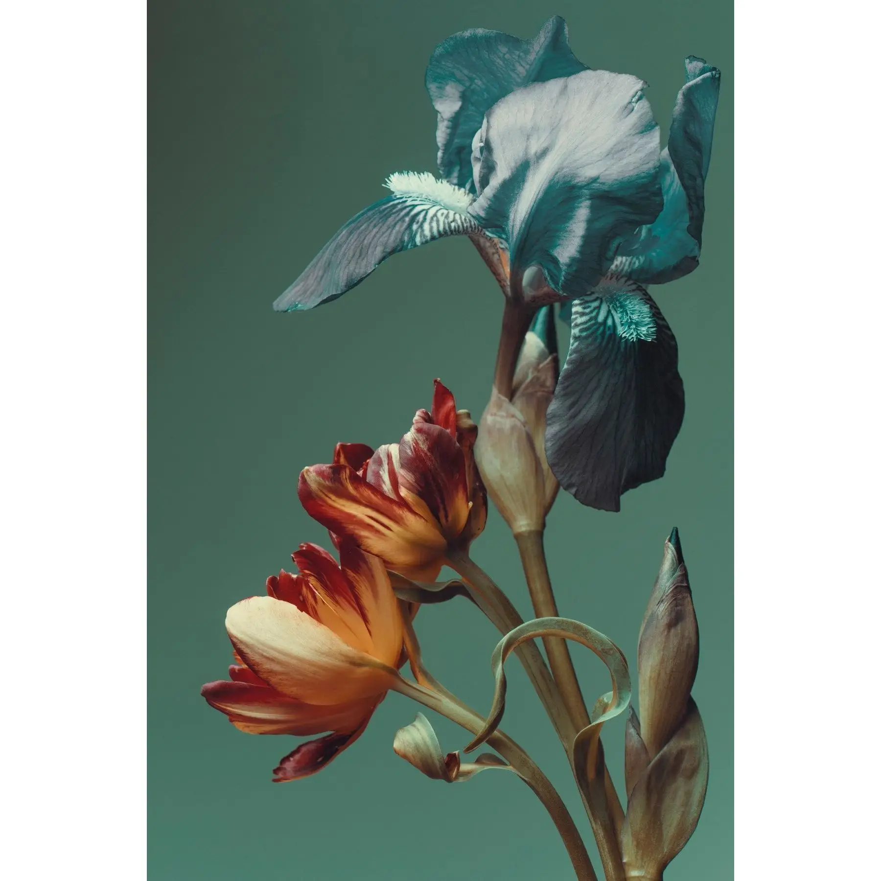 French Kiss Body & Hair Mist 2 Piece Set (250 ML & 75 ML) / Body & Hair Spray