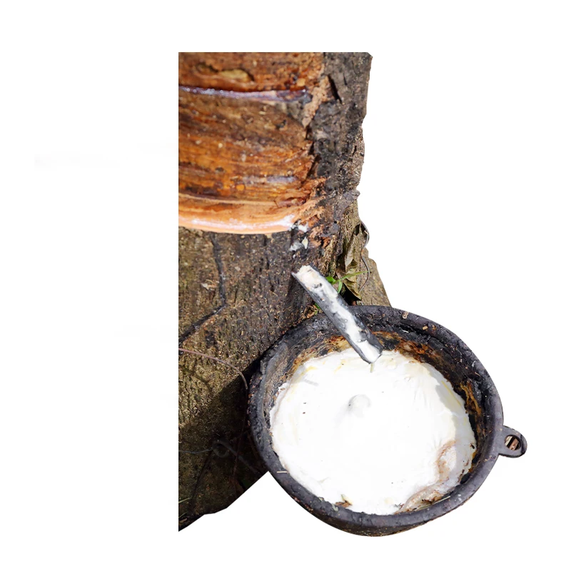 Premium Grade Thailand Origin Natural Latex Low Ammonia Suitable for Rubber Bands and Balloons Manufacturer